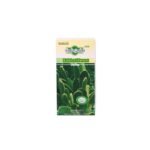 Hoodia Gordonii Kalahari Desert 60 weight Loss Capsule - Image 2
