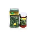 Hoodia Gordonii Gold Kalahari Desert 60 weight Loss Capsule