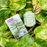 Ginseng Kianpi Pil 60 Weight Gain Capsule - Image 4